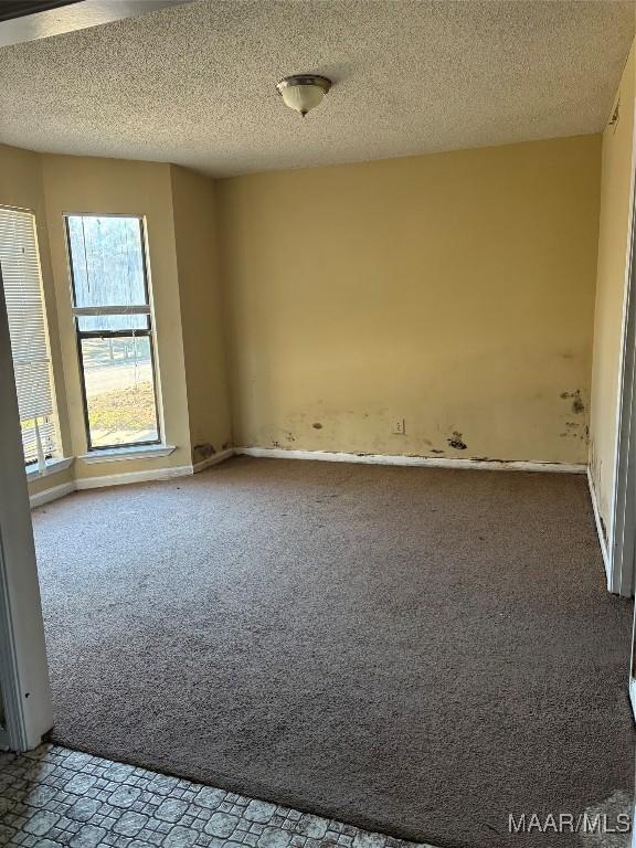 empty room with a textured ceiling and carpet flooring