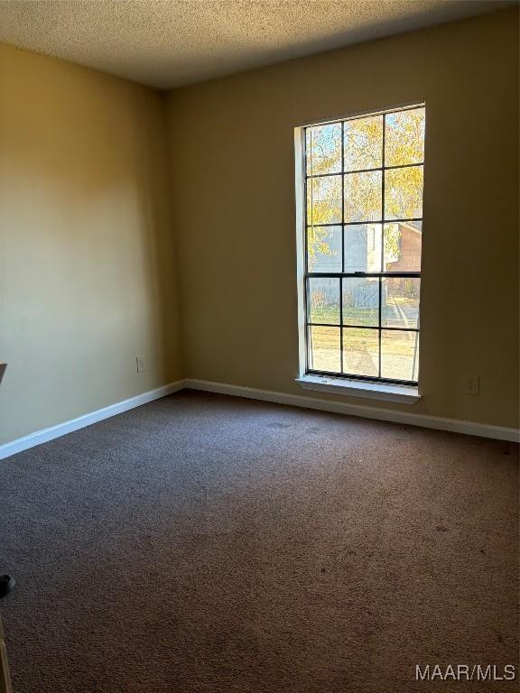 unfurnished room featuring carpet and a textured ceiling