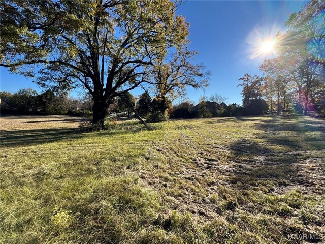6290 Monticello Dr, Montgomery, AL 36117 - photo 9