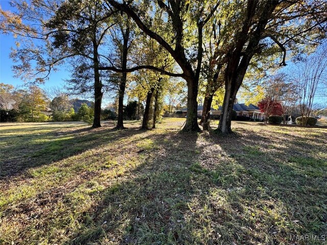 6290 Monticello Dr, Montgomery, AL 36117 - photo 13