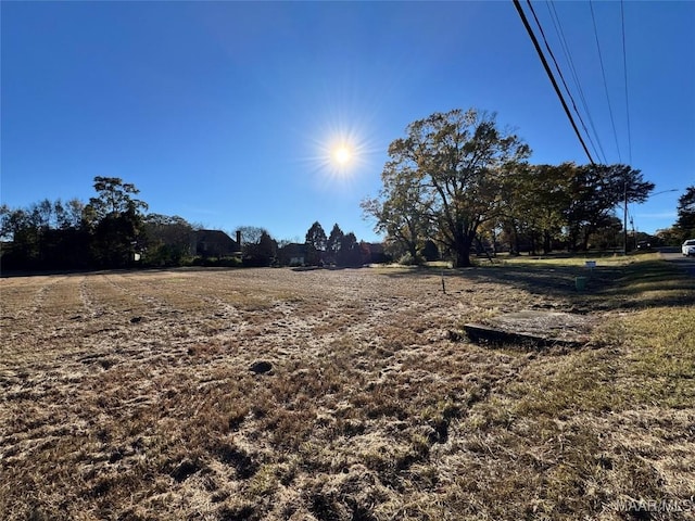 6258 Monticello Dr, Montgomery, AL 36117 - photo 6