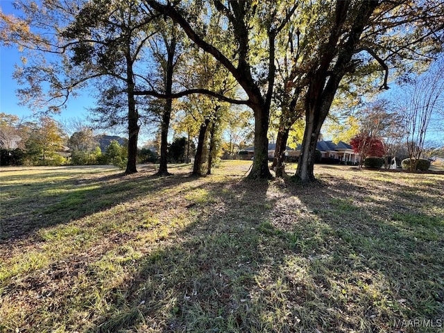 6258 Monticello Dr, Montgomery, AL 36117 - photo 13