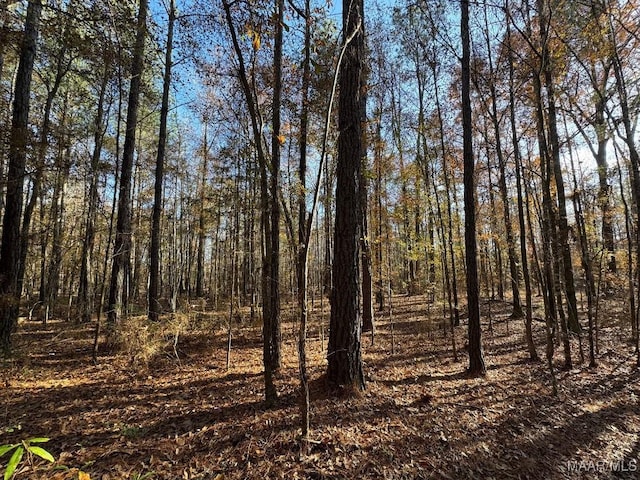 Listing photo 2 for 1 Jug Factory Rd, Redland AL 36093