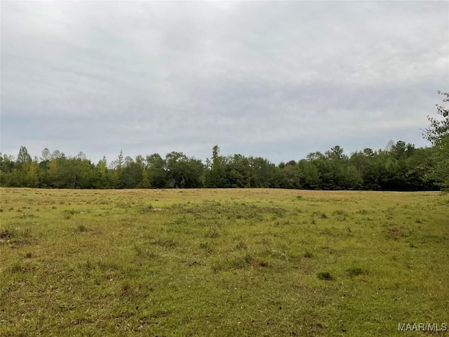 view of landscape featuring a rural view