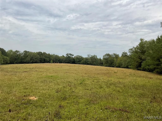 view of local wilderness with a rural view