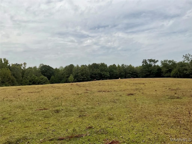 view of local wilderness with a rural view