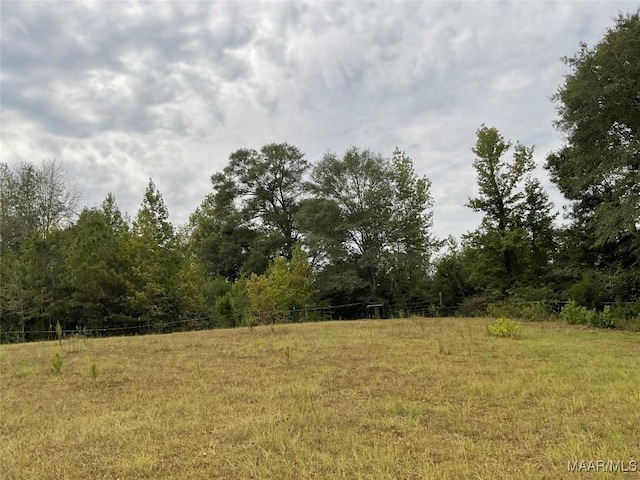 view of local wilderness featuring a rural view