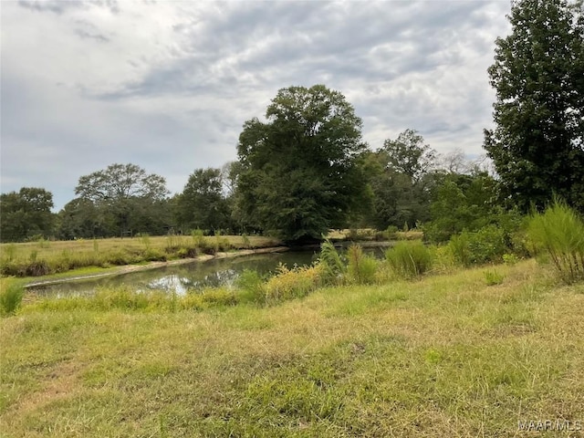 view of nature featuring a water view