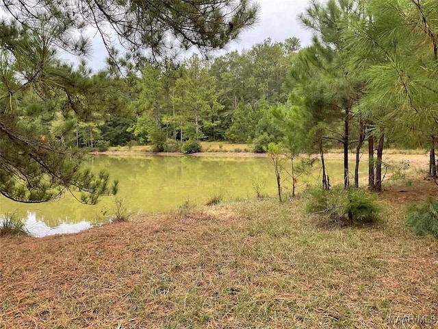 view of landscape with a water view