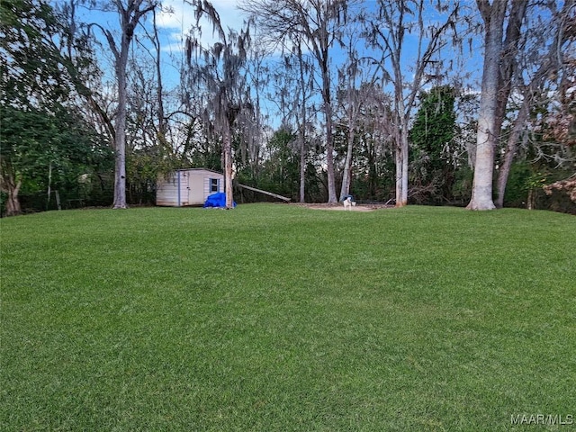 view of yard with a shed