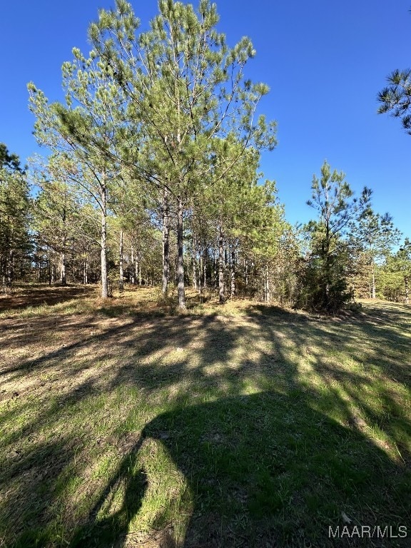 Listing photo 2 for 80 County Road 27th Rd, Clayton AL 36016