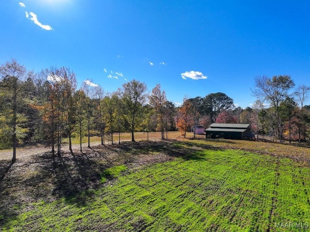 view of yard featuring a rural view and an outdoor structure