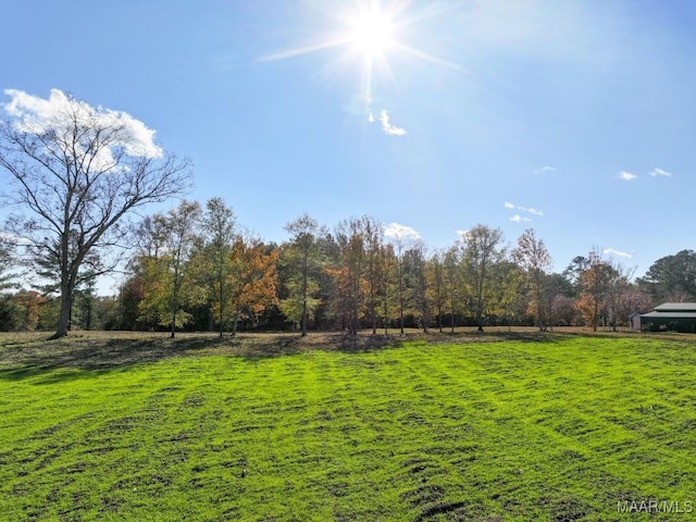 view of yard featuring a rural view