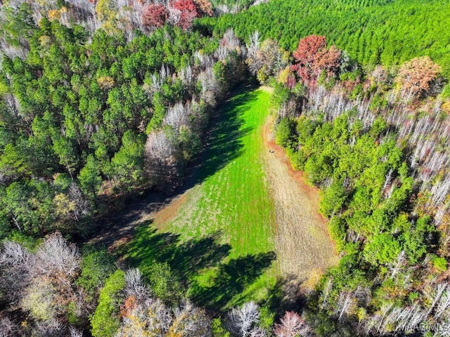 bird's eye view