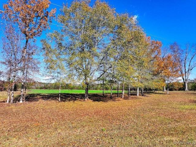 view of yard featuring a rural view