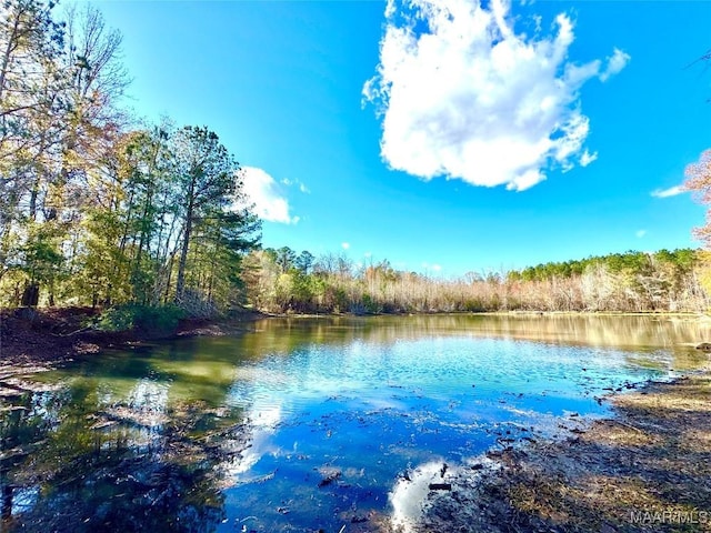 property view of water