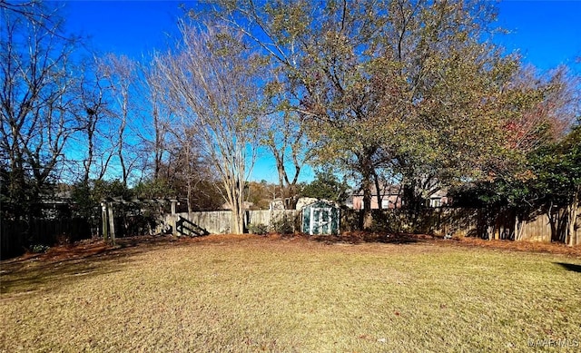 view of yard featuring a storage unit