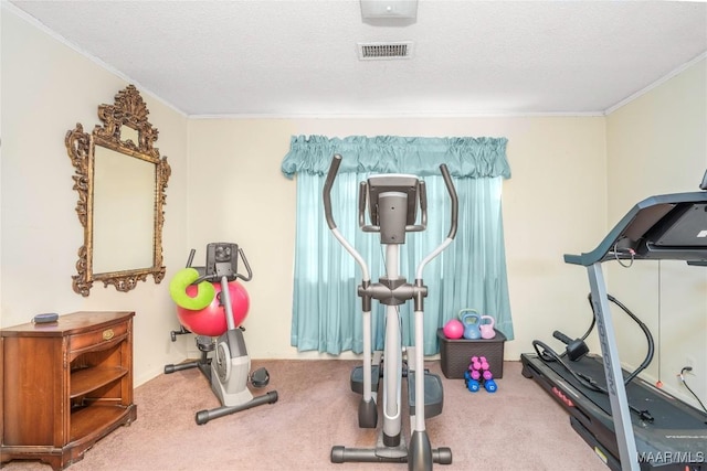 workout area featuring carpet floors and a textured ceiling