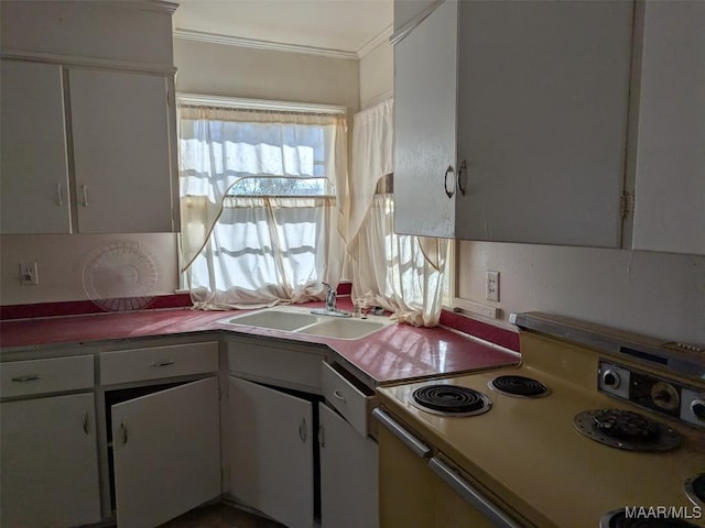 kitchen featuring white cabinets, white appliances, crown molding, and sink