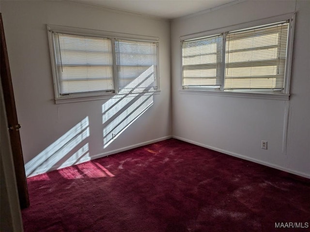 carpeted empty room with crown molding