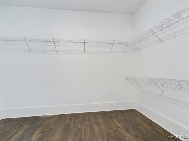 walk in closet featuring dark hardwood / wood-style floors