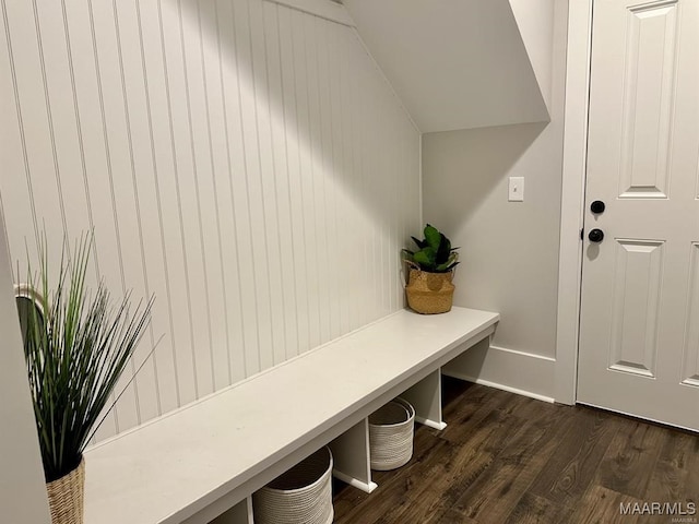 mudroom with dark wood-type flooring