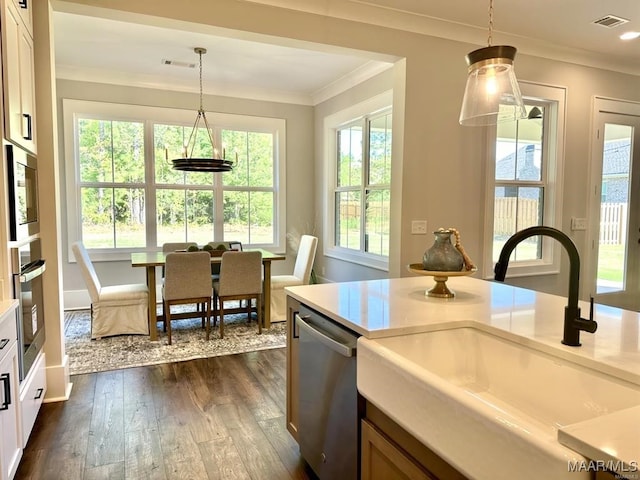 kitchen featuring appliances with stainless steel finishes, sink, hanging light fixtures, and plenty of natural light