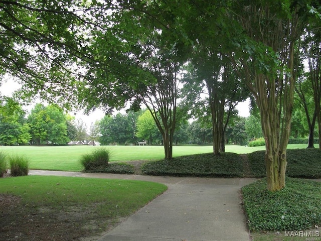 view of community with a yard