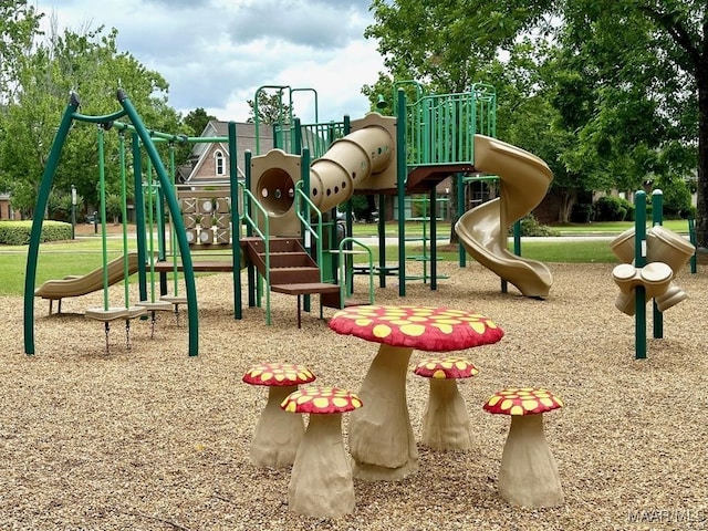 view of jungle gym