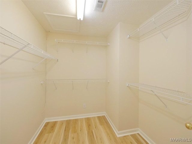 walk in closet featuring hardwood / wood-style floors