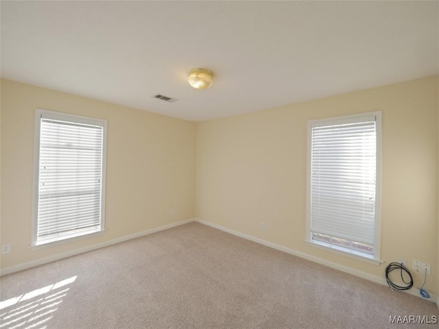 carpeted empty room featuring a wealth of natural light