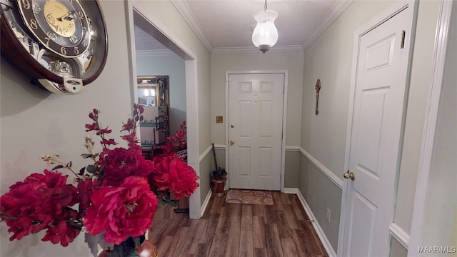 entryway with dark wood-type flooring and crown molding