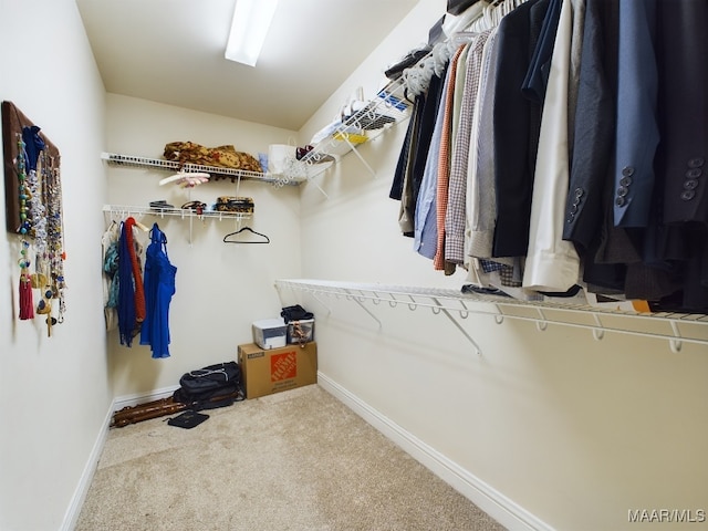 walk in closet featuring carpet flooring