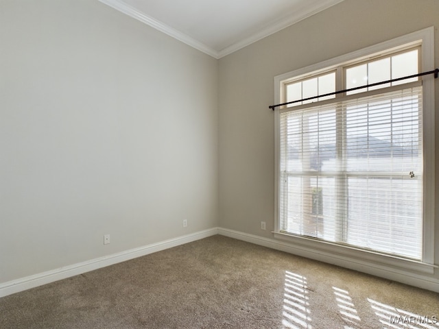 spare room with carpet flooring and ornamental molding