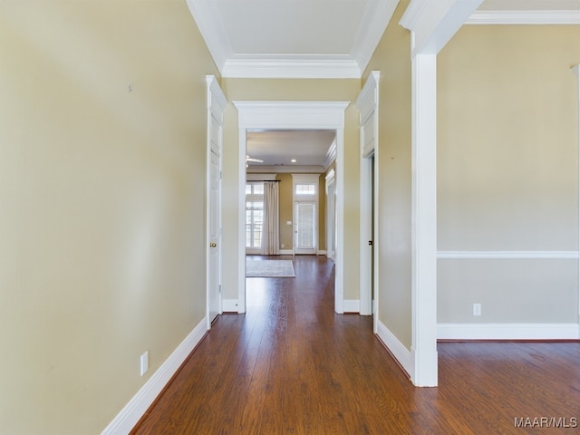 corridor with dark hardwood / wood-style flooring and ornamental molding