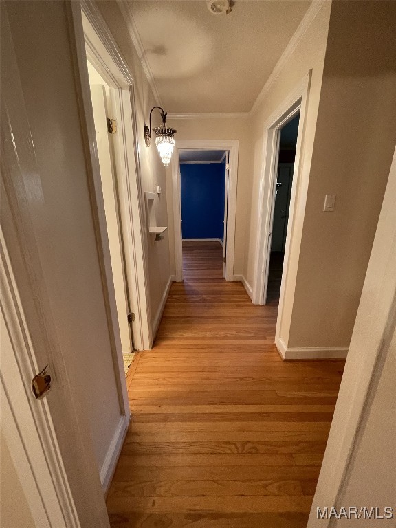 hall featuring light hardwood / wood-style flooring and ornamental molding