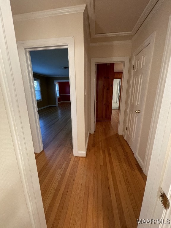 hallway featuring light hardwood / wood-style flooring and ornamental molding