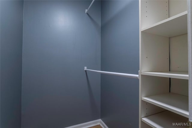 view of walk in closet