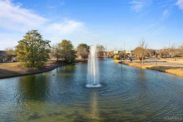 view of water feature