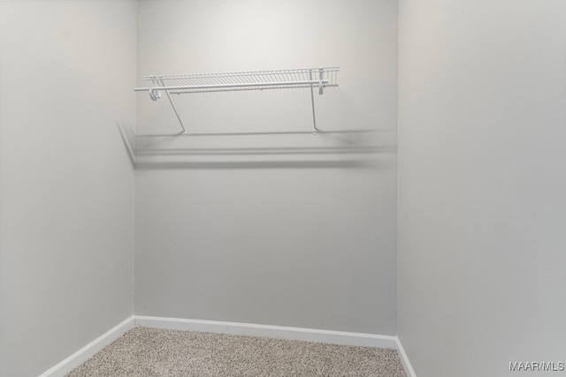 walk in closet featuring carpet flooring