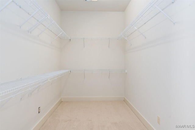 walk in closet with light carpet