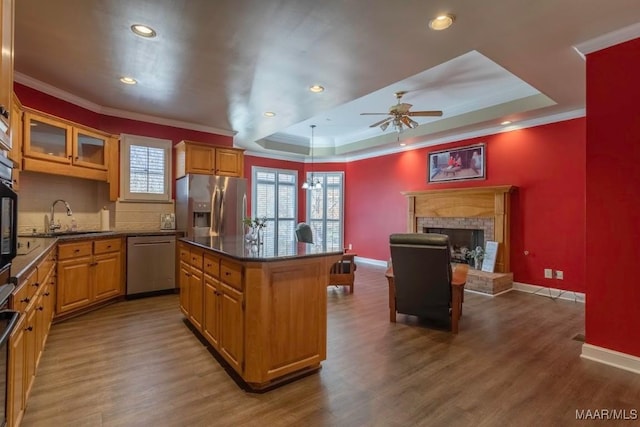 kitchen with a raised ceiling, a kitchen island, stainless steel appliances, and wood-type flooring