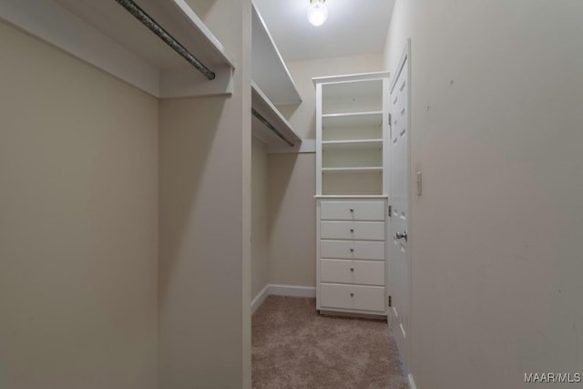 walk in closet featuring light colored carpet