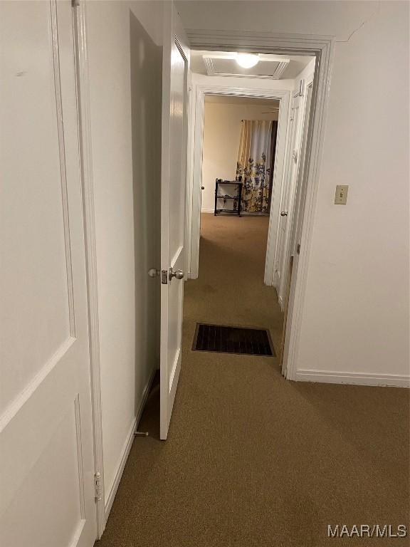 hallway featuring carpet floors