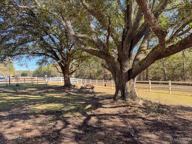 view of yard featuring a rural view