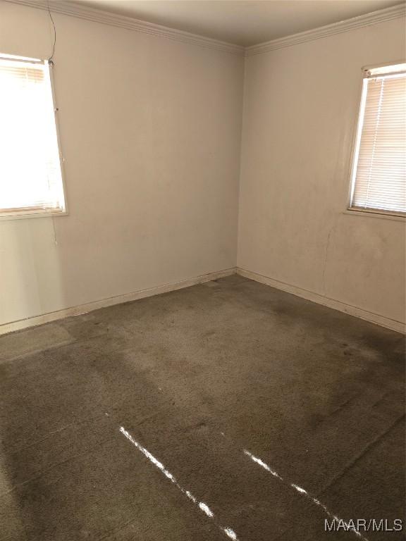 empty room with carpet flooring and crown molding