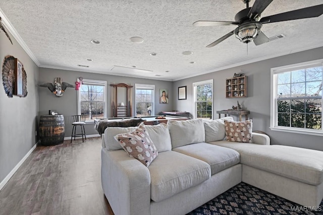 living room featuring a wealth of natural light, wood-type flooring, a textured ceiling, and ornamental molding