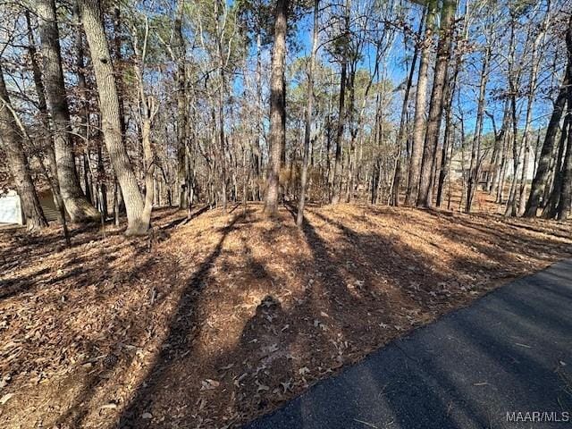 Listing photo 2 for LOT16 Laurel Ridge Dr, Dadeville AL 36853