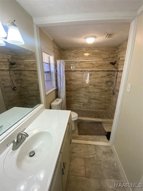 bathroom with a shower with curtain, toilet, and vanity