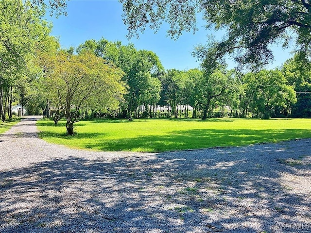 surrounding community featuring a yard